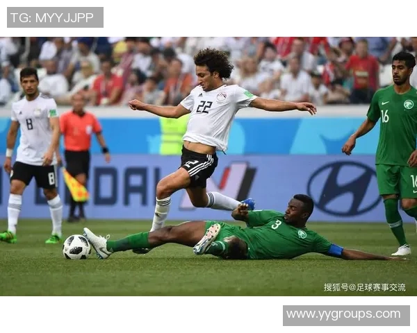 尼日利亚与几内亚2019年精彩对决回顾与分析