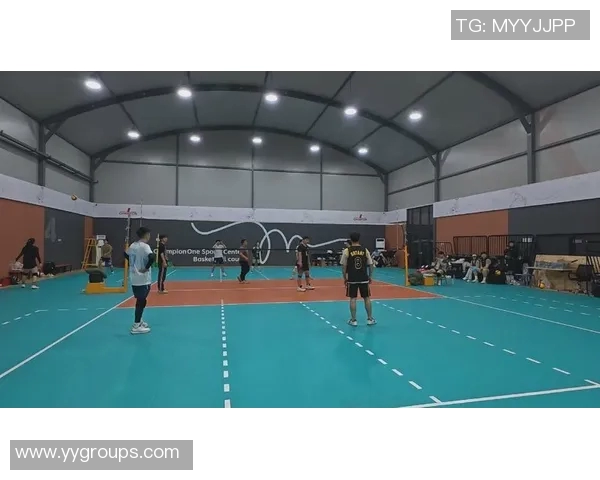 杭州排球队转型之路的真实记录与成长历程探秘MBA