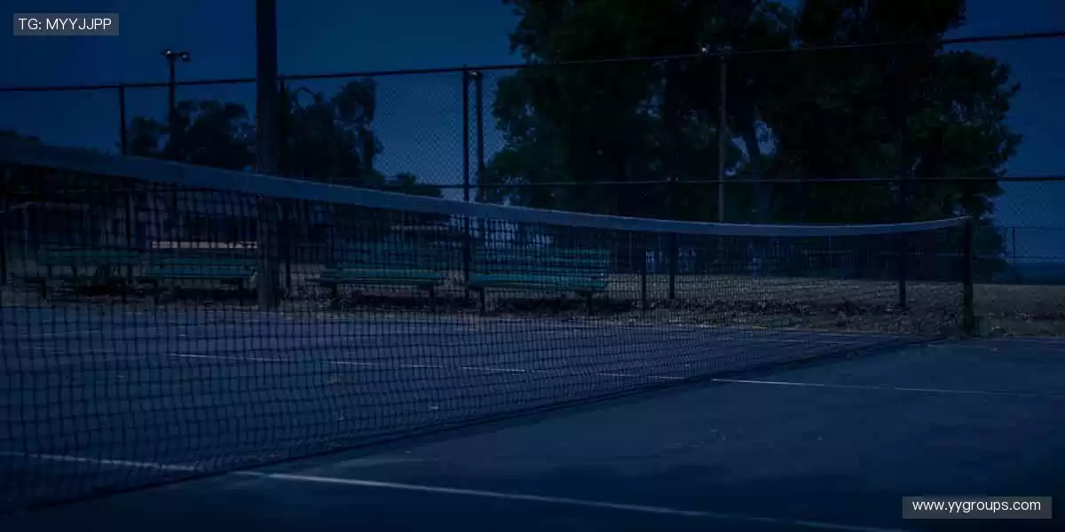 🏆巅峰对决，见证冠军诞生的荣耀瞬间！🏅